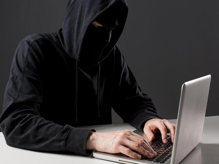 Красноярцы получают поддельные письма с вирусными ссылками от имени Роструда