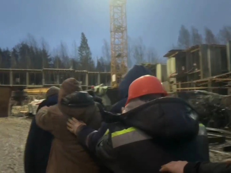 Полицейские при силовой поддержке спецполка ГУ МВД и Росгвардии провели масштабный рейд на двух строительных объектах в деревне Мистолово Всеволожского района. О результатах рассказал телеграм-канал ГУ МВД по Петербургу и Ленобласти.