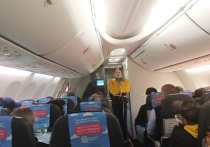 Новое исследование показало, что авиапассажиры подвергаются воздействию чрезвычайно высоких уровней загрязнения ультрадисперсными частицами