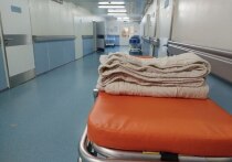 С каждым годом растет популярность кальяна