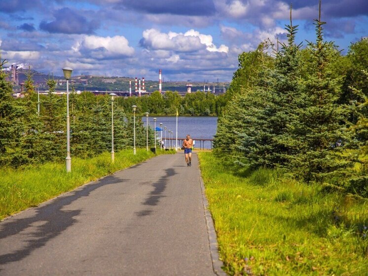 Итоги работы по озеленению города в 2025 году подвели на аппаратном совещании в администрации Магнитогорска