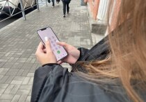 В деревне Заостровье, расположенной рядом с Парфино, появился высокоскоростной интернет