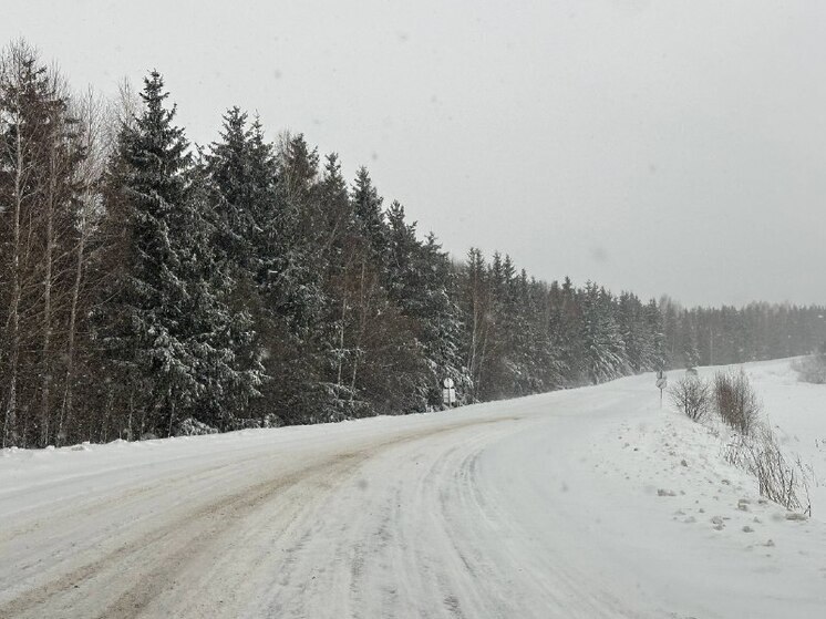 В Алтайском крае женщине стало плохо в дороге. Ее муж обратился за помощью к сотрудникам Госавтоинспекции, дежурившим на проезжей части трассы. Правоохранители незамедлительно отреагировали и сопроводили пару до медучреждения.