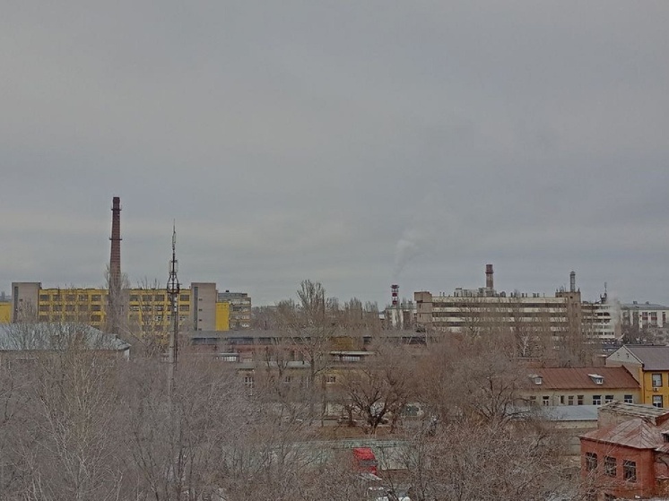 Названы отрасли Саратовской области, которые приносят больше прибыли