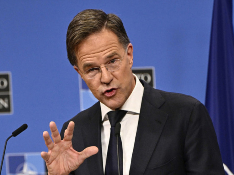 Кошкович: слова генсека Рютте говорят о стремлении НАТО к войне