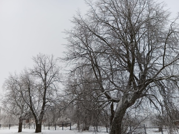 В Ленобласти зима сменит привычный «плюс» на стабильный «минус» 13 декабря
