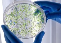 Проблема устойчивости патогенов к существующим антибиотикам выходит на новый виток