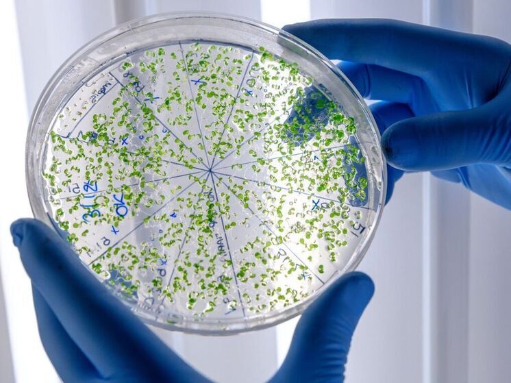 Ученые выяснили причину роста младенческой смертности