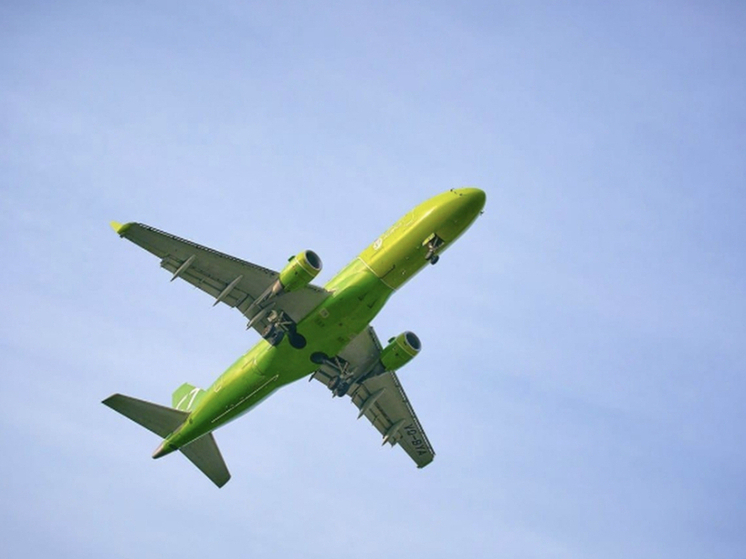 Жители Новосибирской области стали чаще покупать туры: продажи выросли на 8%