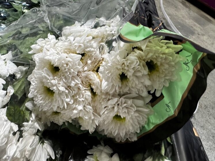 Угроза из Нидерландов: 200 хризантем уничтожены в Псковской области из-за карантинного заболевания