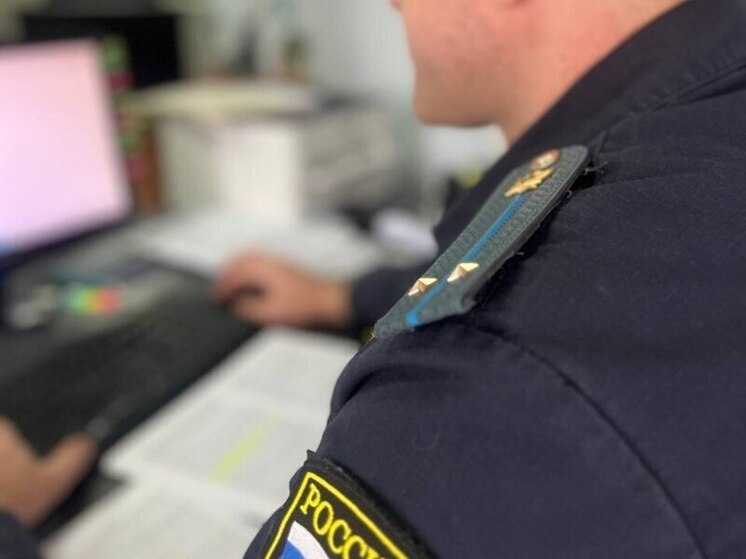 Астраханец выплатил долг по алиментам свыше 400 тысяч рублей после ареста имущества