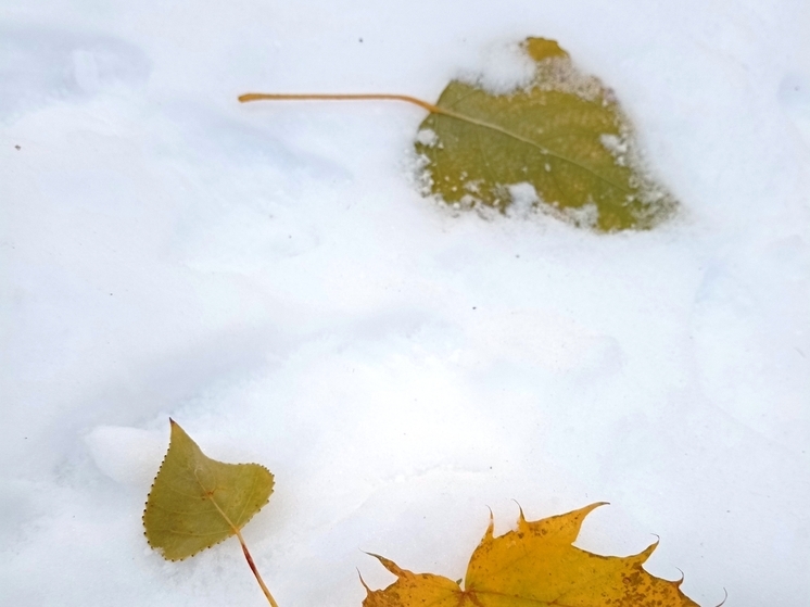 Сила магнитной бури 13 декабря составит 4 балла: не стоит начинать ничего нового