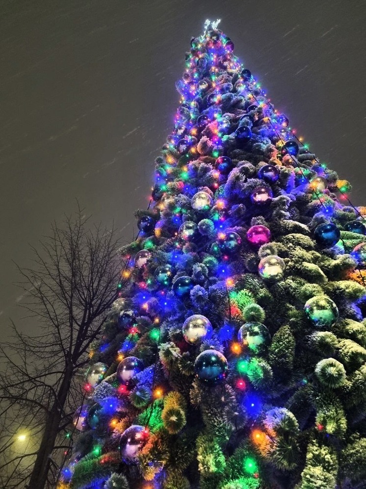 «Ёлку Нижегородского края» с авторскими игрушками откроют 14 декабря