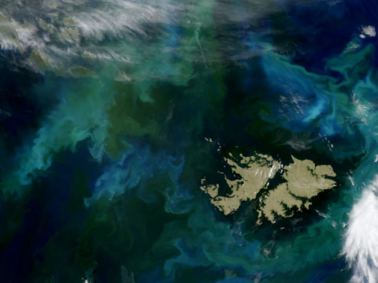 МИД Аргентины выразил протест Британии из-за разработки месторождения нефти у Мальвинских островов