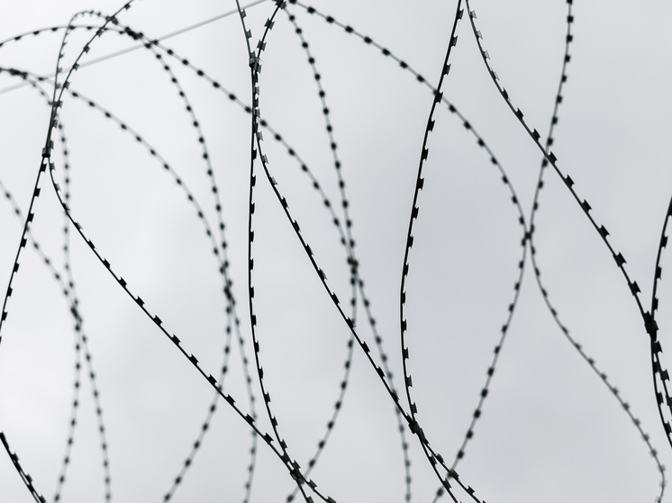 В отношении основателя «Партии мертвых» Евстропова возбуждено уголовное дело