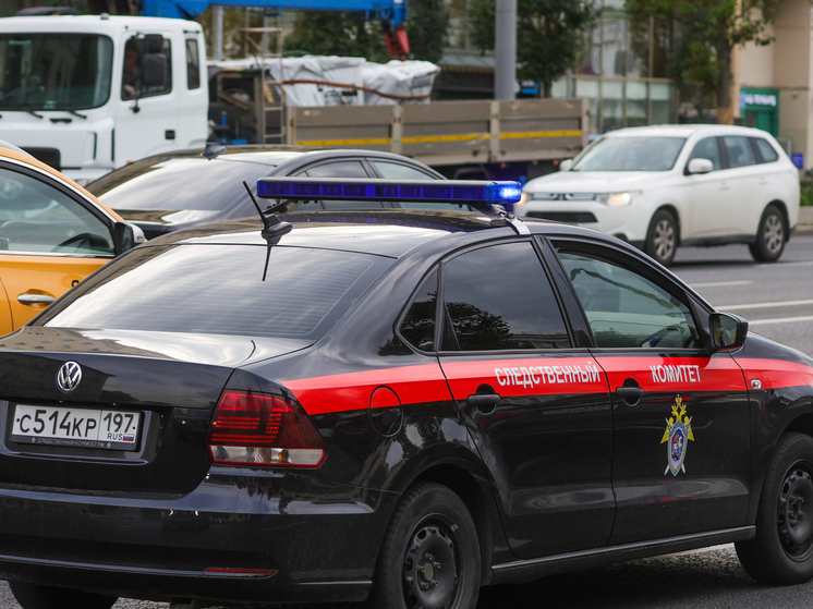 Следком рассматривает криминальную версию исчезновения семьи Усольцевых в Красноярском крае