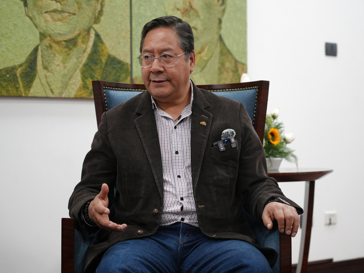 Бывшего президента Боливии Луиса Арсе отправили в предварительное заключение на пять месяцев