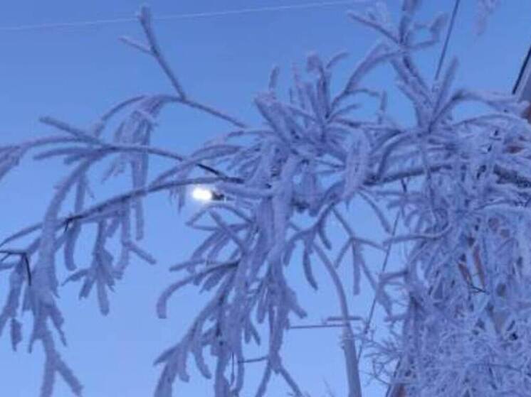 В субботу в континентальной части Чукотки ожидаются морозы до -30 градусов