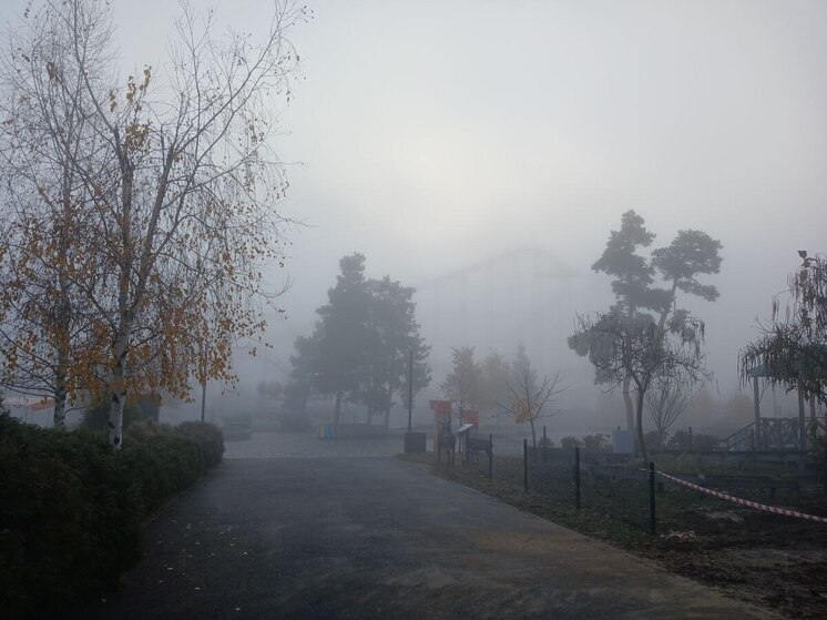 Магнитные бури 13 декабря 2025 года: волгоградцев ожидают мощные геоудары