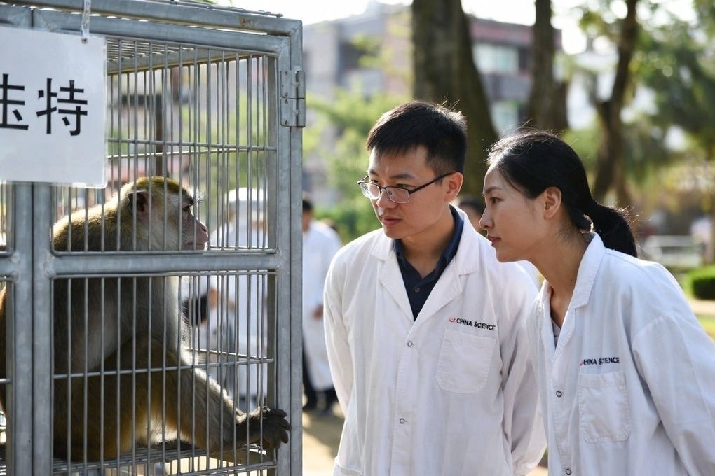 В Китае раскрыт способ омоложения организма