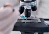 Микроскопический анализ останков из знаменитого захоронения эпохи мезолита в Бад-Дюрренберге (Германия) впервые выявил невидимые ранее детали: следы перьев в погребальном уборе женщины-шамана и на ритуальных масках, оставленных спустя 600 лет после её смерти