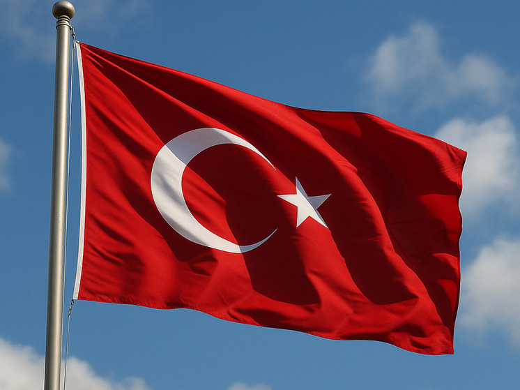 Военкор Сладков назвал сатисфакцией атаку ВС РФ на турецкое судно в Черноморске