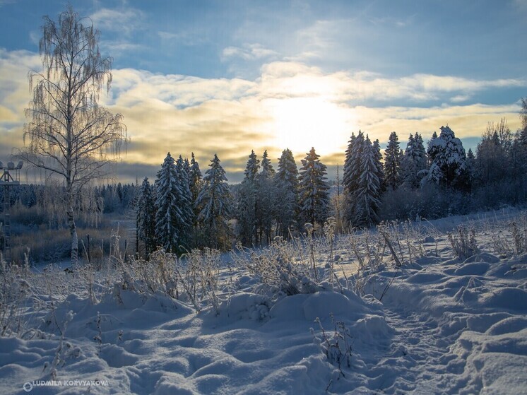 Россияне активно бронируют загородные усадьбы Карелии перед новогодними праздниками