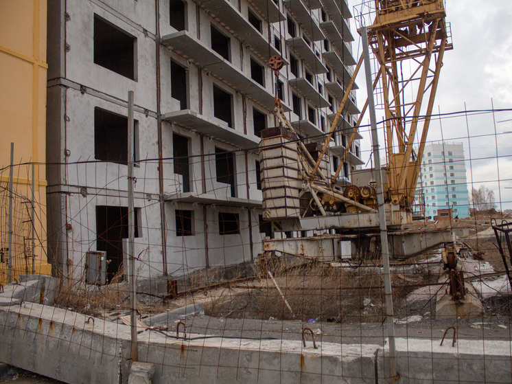 Бастрыкин взял на контроль дело застройки в Краснообске