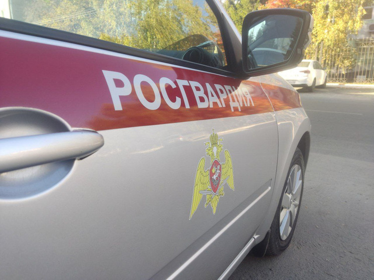 Мужчина с пистолетом устроил переполох в магазине Горно-Алтайска