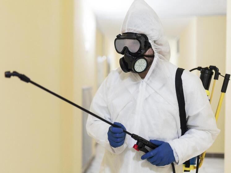 В Красноярске объявлена неделя дератизации: владельцев собак и кошек просят быть внимательнее