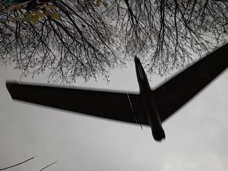 Украинские беспилотники уже несколько суток массированно атакуют российские регионы, включая Москву и область