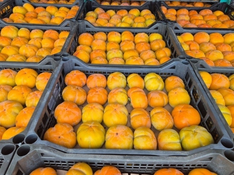 150 тонн опасной хурмы развернули на границе