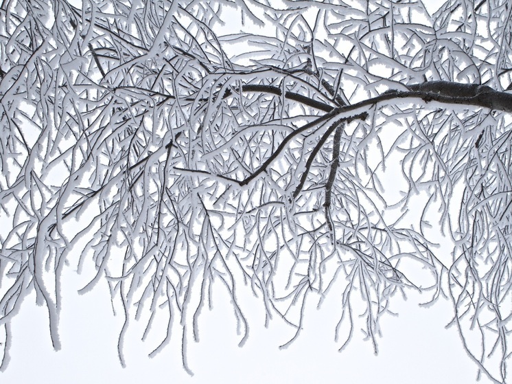 В Воронеже 13 декабря ожидается мороз и снег