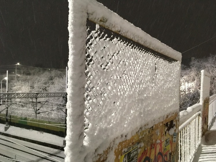 На Саратов обрушился шквалистый ветер с метелью