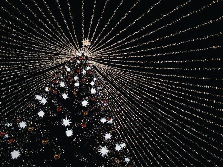 На главной площади Майкопа установили новогоднюю ёлку