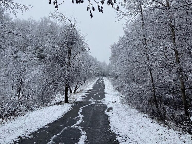 Метеоролог Шувалов: зима будет очень непродолжительна