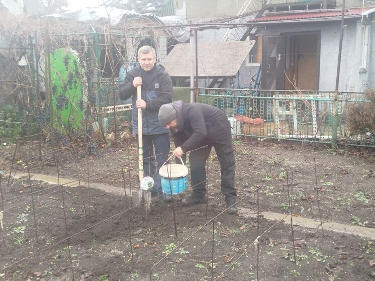 300 саженцев фруктовых деревьев передали жителям Курахово