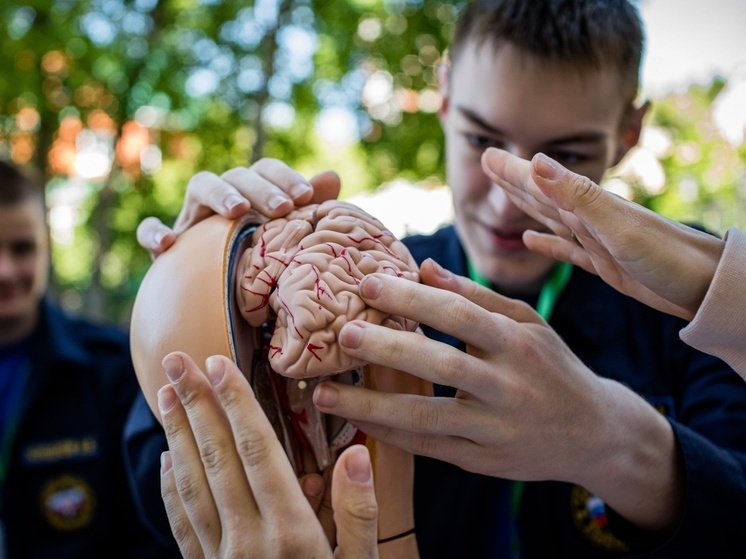 Клинический психолог из Пензы предупредила о двойном ударе по мозгу от сигарет и алкоголя
