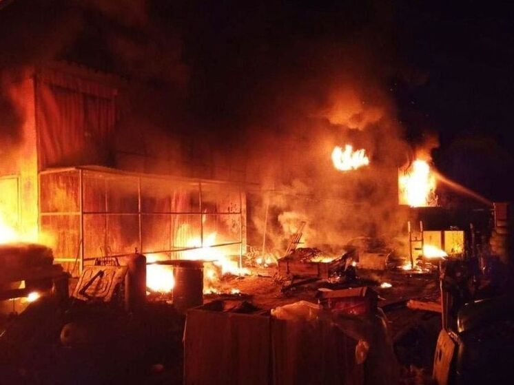 Пожилой любовник в отставке решил сжечь участок бывшей пассии в Ленобласти