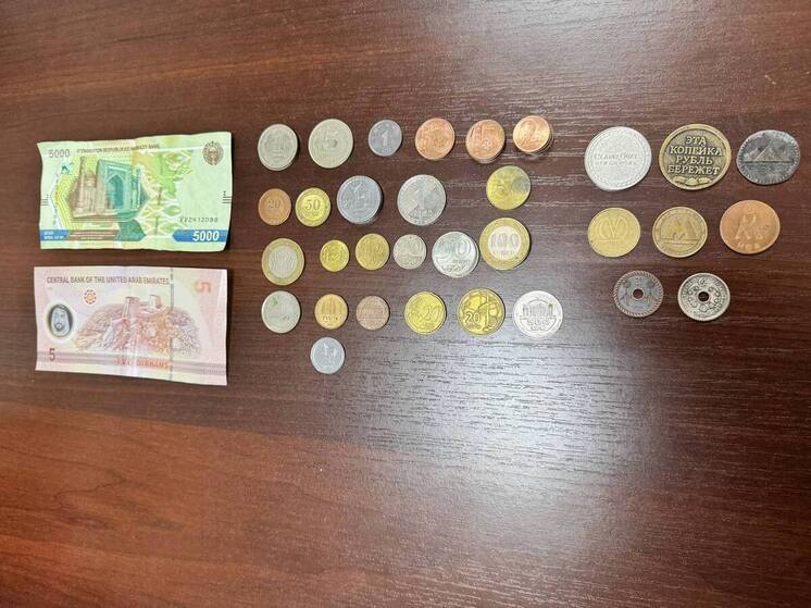 Железноводская «копилка желаний» удивила  мировым разнообразием