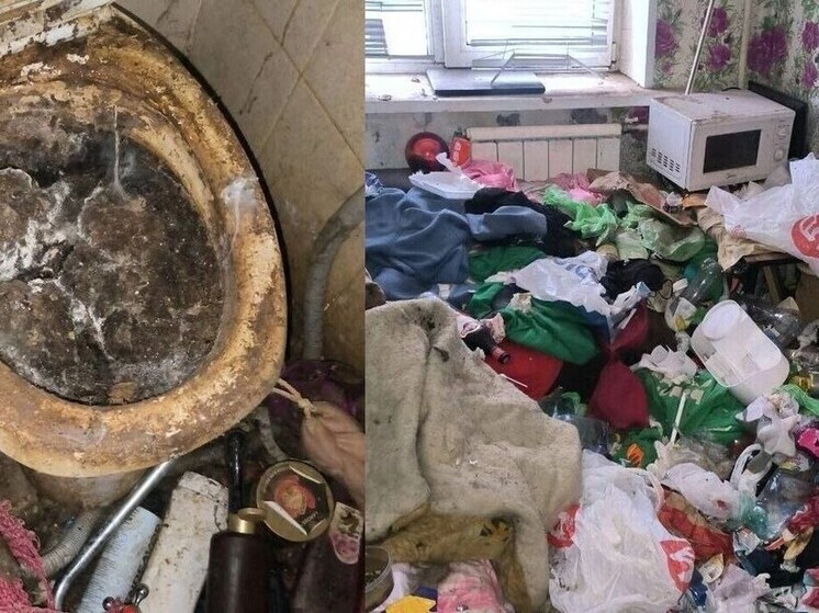 Красноярец обнаружил в своей квартире после выселения арендаторши горы мусора и тело кошки