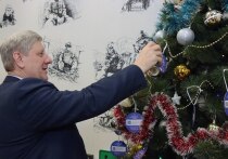 Новогоднее желание юная макеевчанка загадала в рамках всероссийской акции.
