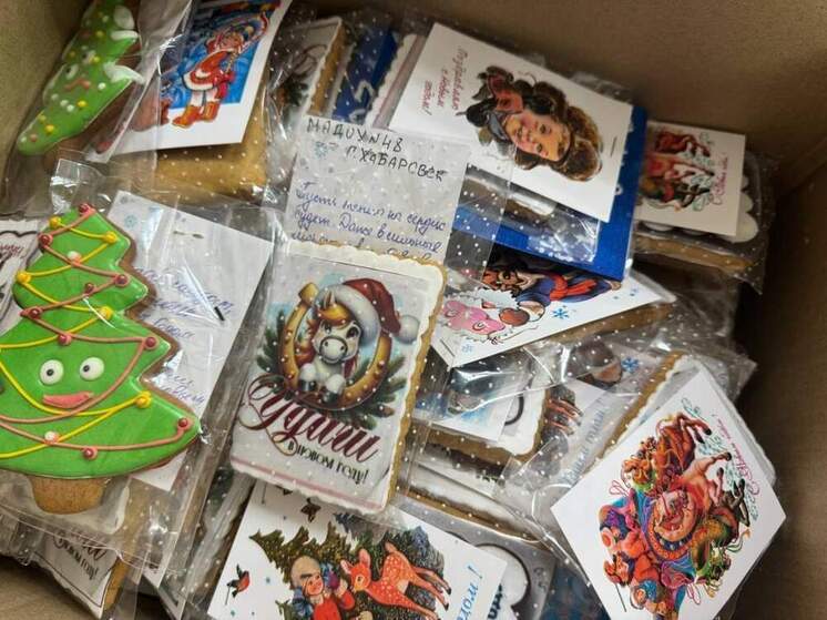 Порадовать бойцов СВО новогодними подарками могут хабаровчане