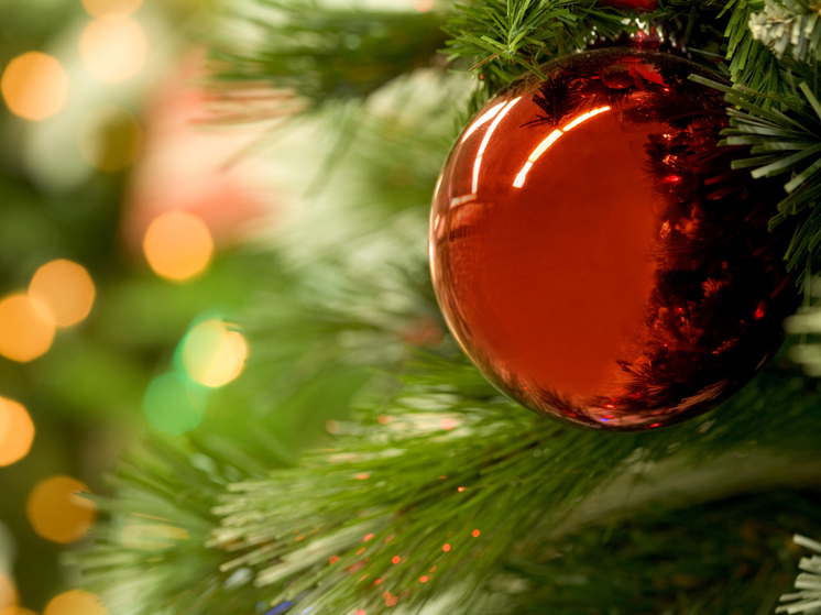 Губернатор Архангельской области стал участником акции «Ёлка желаний»