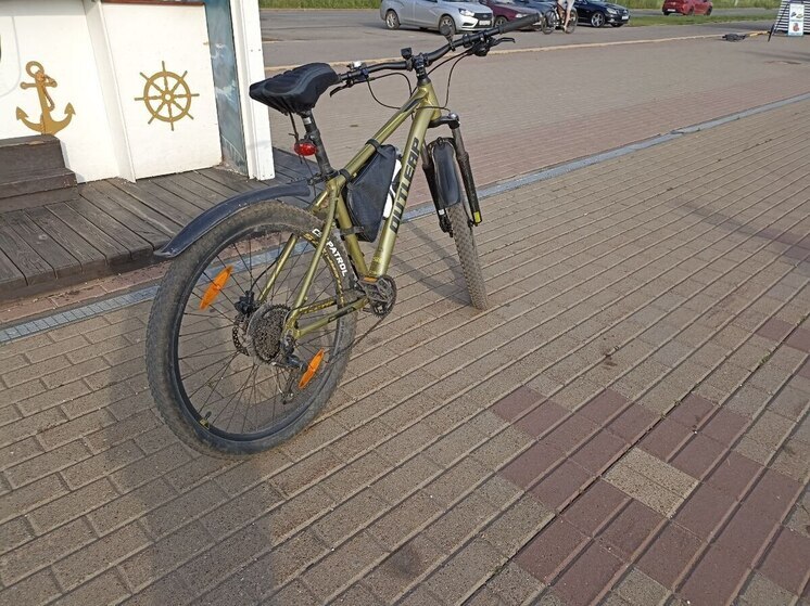 Петербуржец на мусоровозе насмерть сбил пожилого велосипедиста в Ленобласти