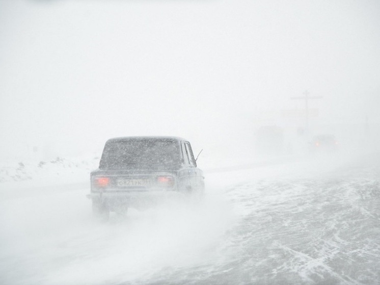 Курганская Госавтоинспекция выступила со срочным обращением к водителям