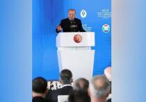 Осенью президент Турции Реджеп Тайип Эрдоган подписал указ, согласно которому иностранцы тюркского происхождения смогут работать и вести бизнес в стране наряду с гражданами во всех сферах, кроме военной и госбезопасности