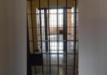 Чиновник Ространснадзора, осужденный за несколько фактов  получения взяток, попытался доказать, что моральные страдания, которые он пережил в СИЗО, достойны крупной компенсации