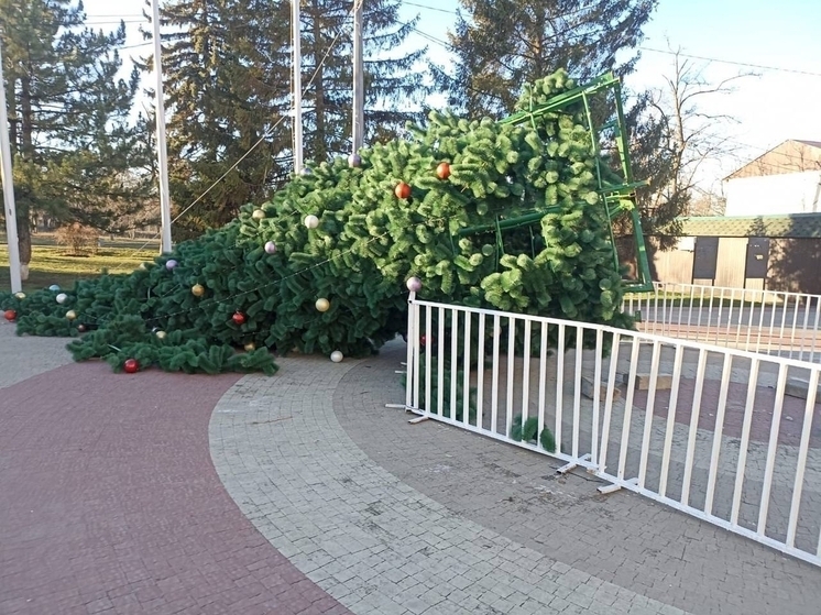 В Ростовской области сильный ветер начал валить новогодние елки