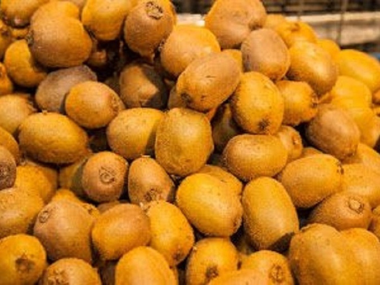 Ученые узнали, что употребление киви повышает уровень коллагена и улучшает кожу